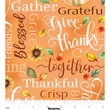 Give Thanks ~ Thankful Words 14935-38 Orange