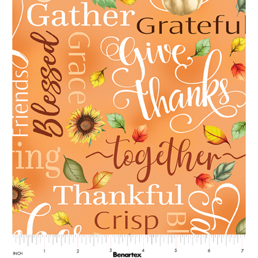Give Thanks ~ Thankful Words 14935-38 Orange