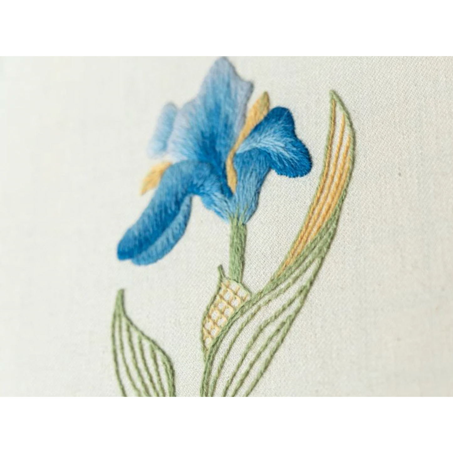 The Crewel Work Company | Spring Iris Kit Crewel Embroidery Kit