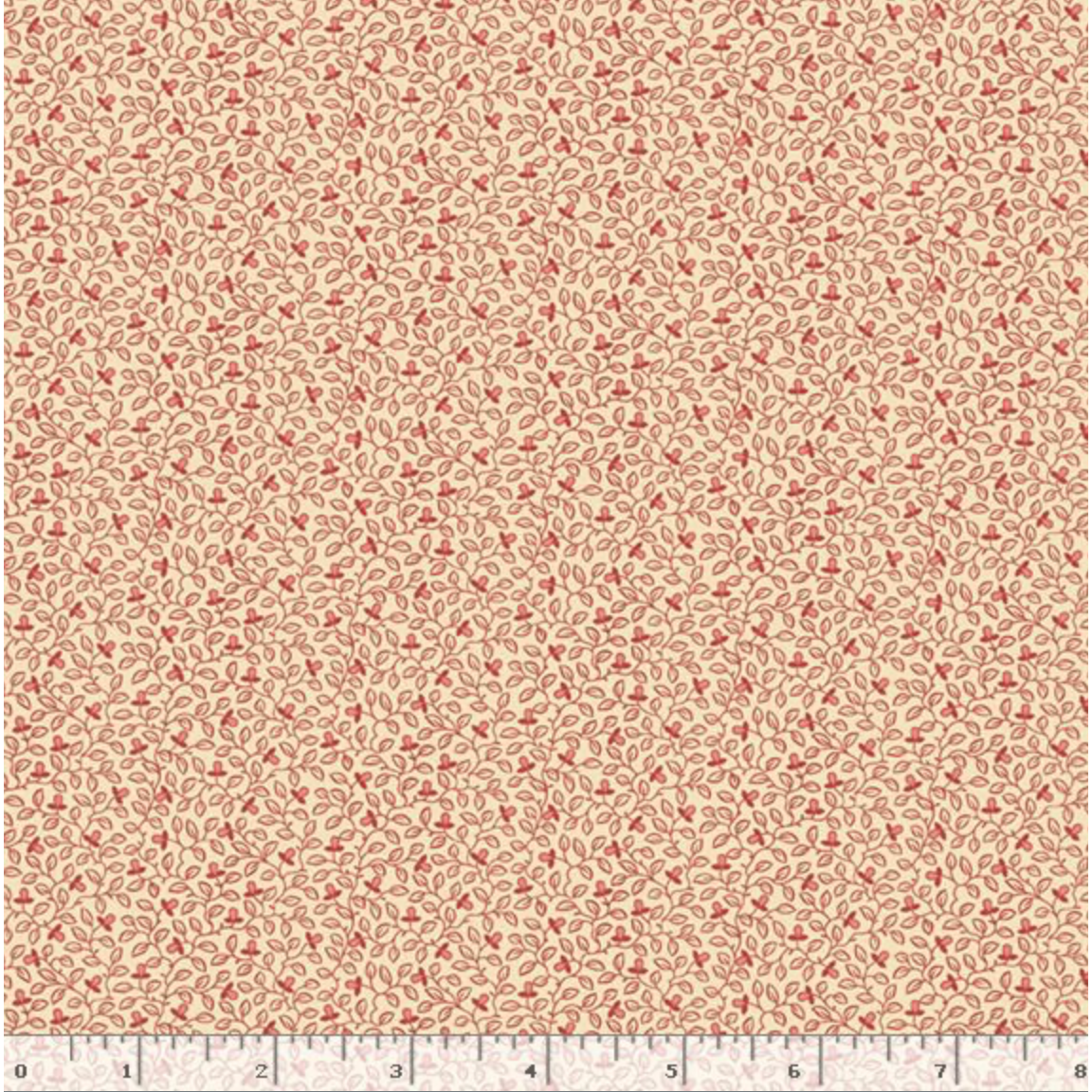 New Dawn ~ Buds ~ R491574D Pink