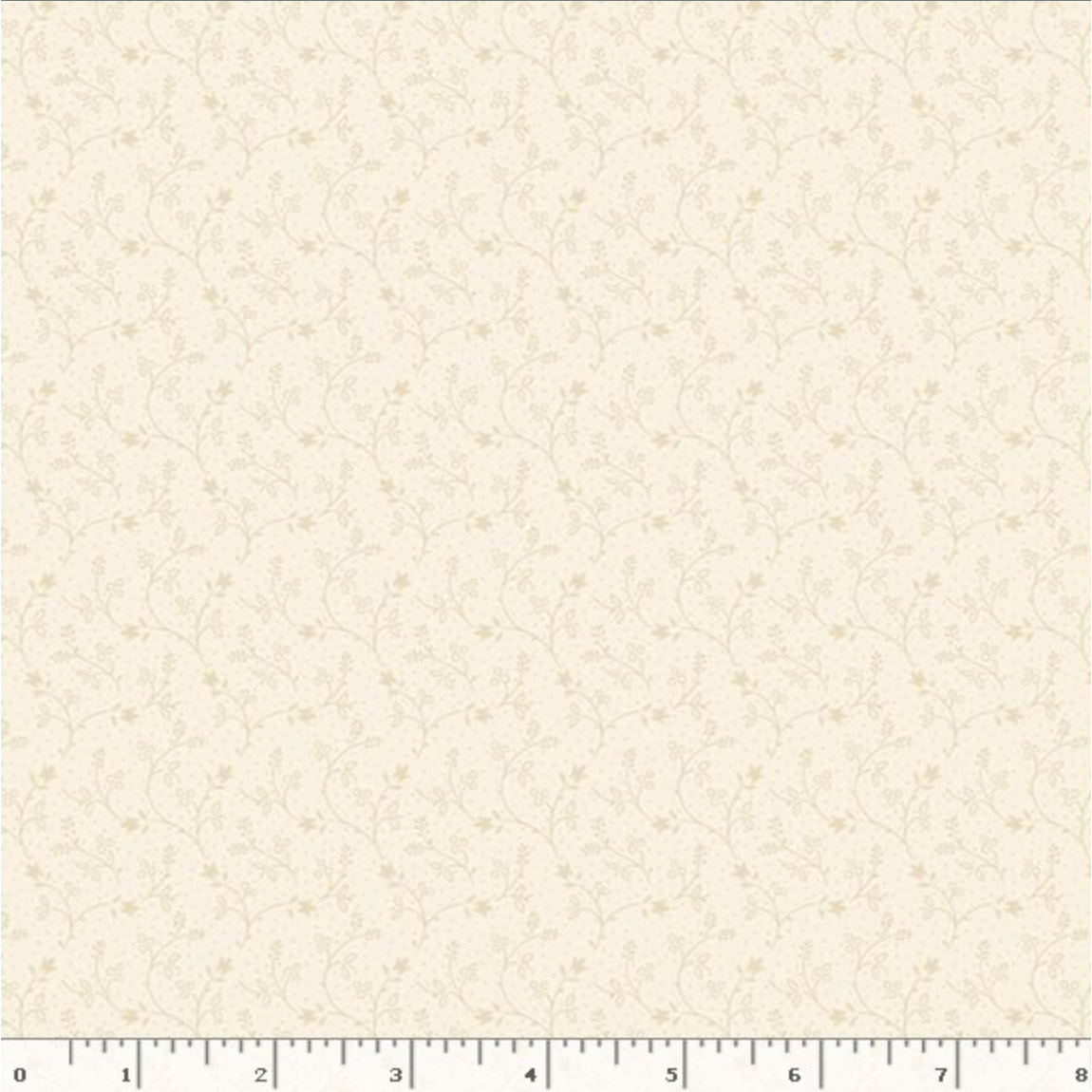 New Dawn ~ Tulips ~ R491578D Cream