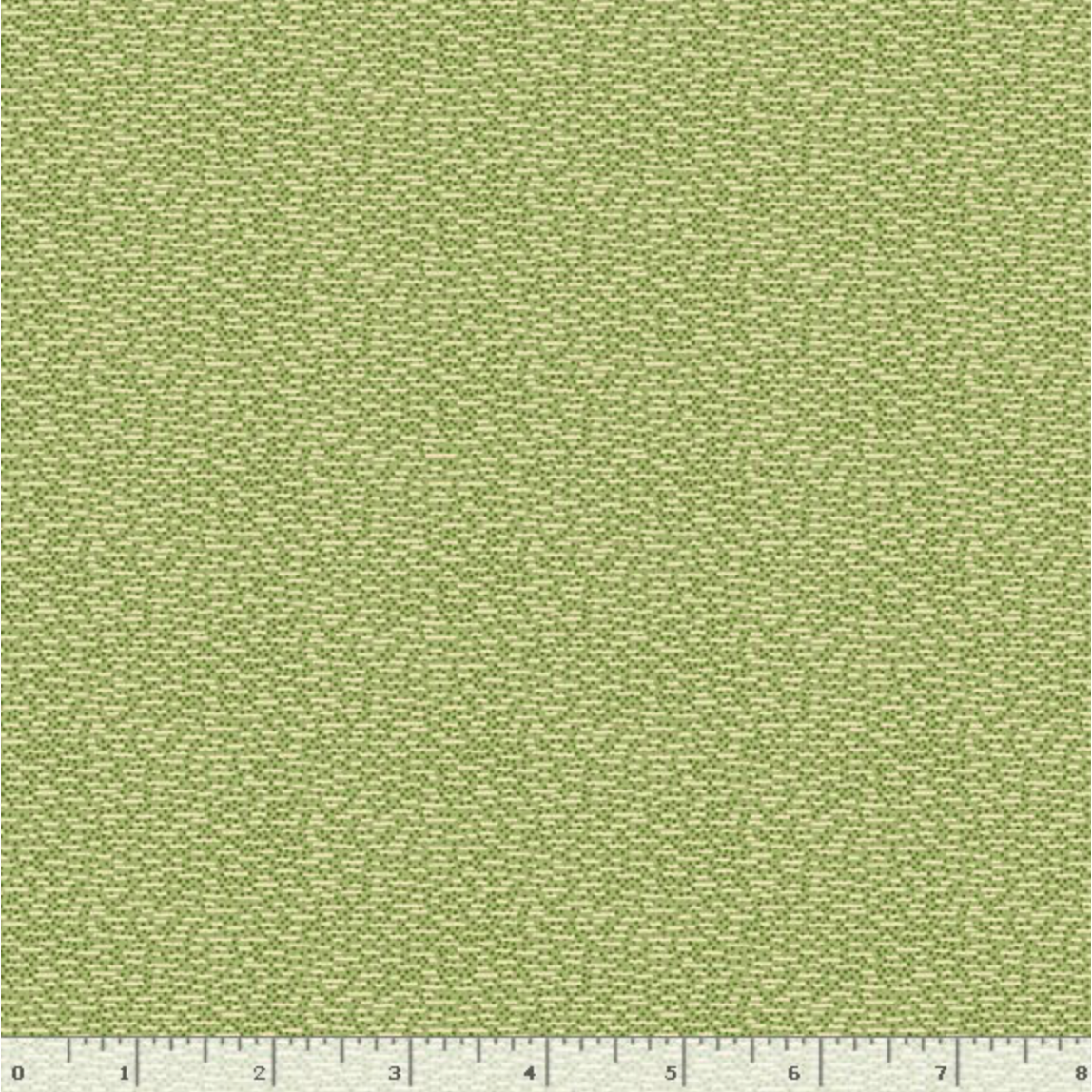 New Dawn ~ Dash ~ R491579D Sage