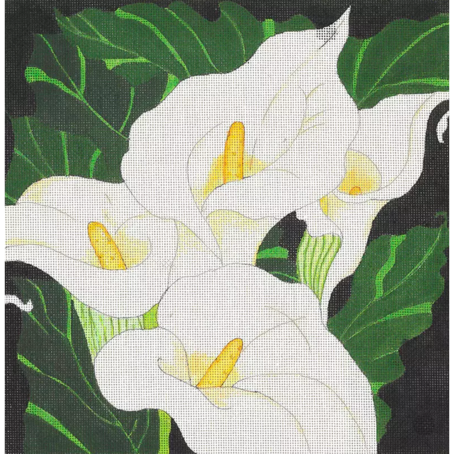 Fleur de Paris | Giant Calla Lilies