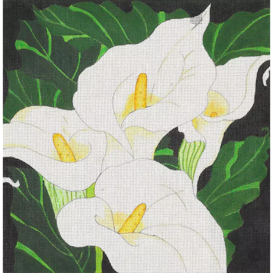 Fleur de Paris | Giant Calla Lilies