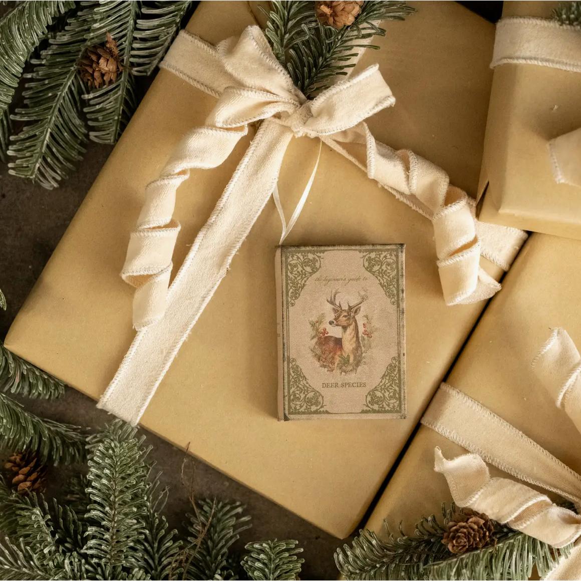 The Beginner's Guide To Deer Species Journal Ornament