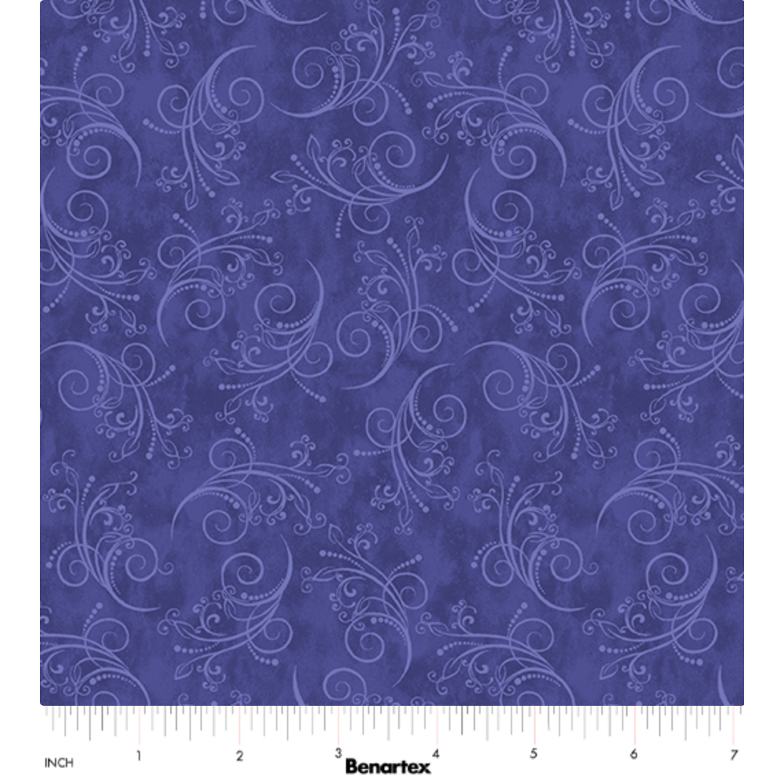 Equinox ~ 13469-63 Violet