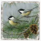 Chickadees Absorbent Stone Tumbled Tile Coaster
