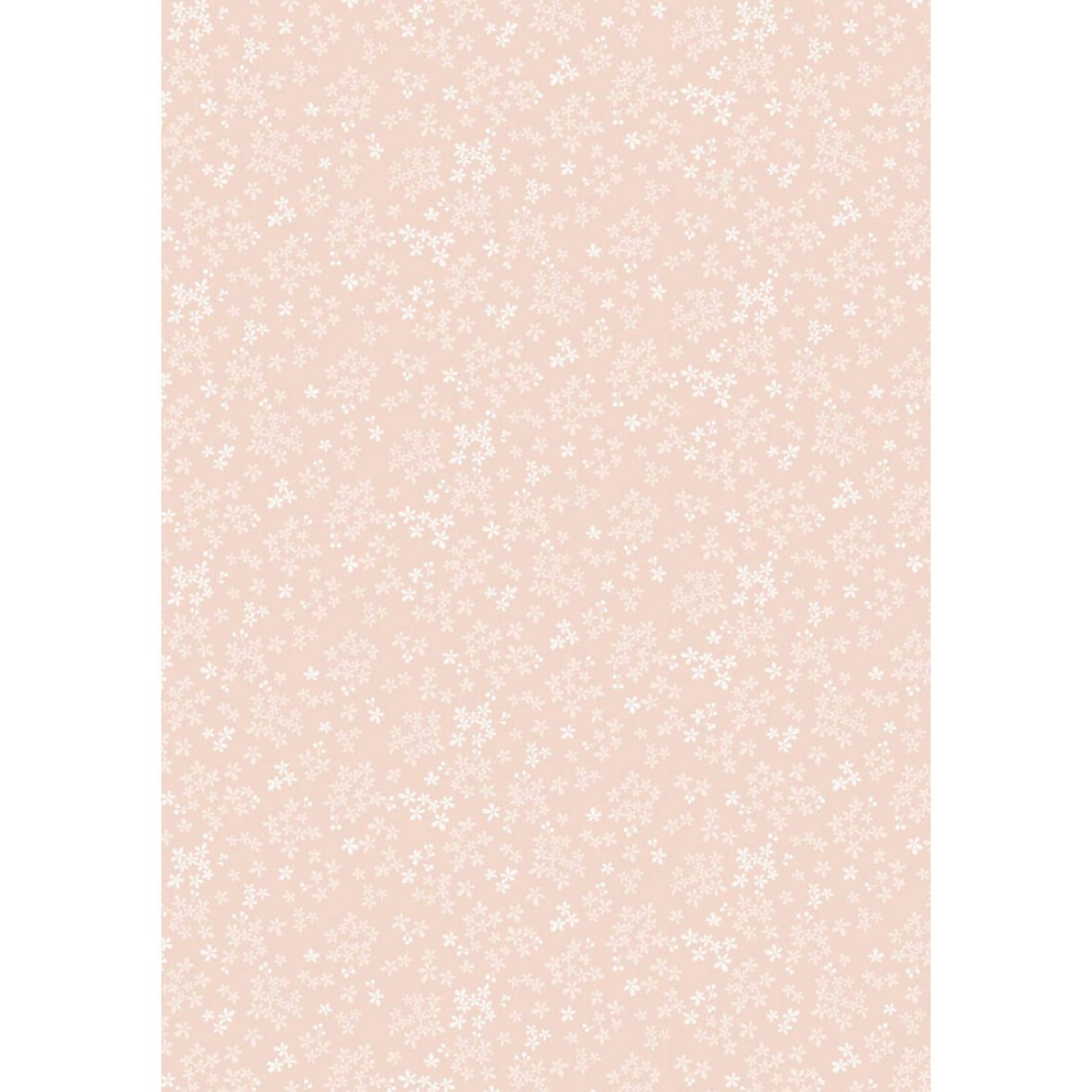 Sky Garden ~ Wintersweet ~ CC60.1 Pale Peach