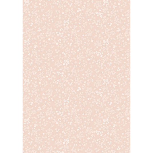 Sky Garden ~ Wintersweet ~ CC60.1 Pale Peach