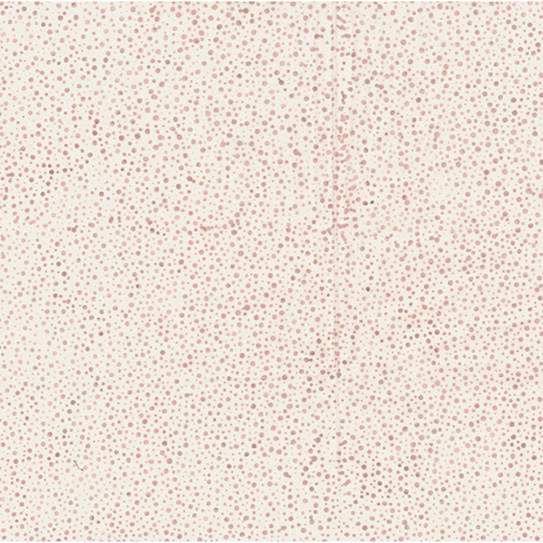 Bali Chops ~ 885-488 Sandcastle