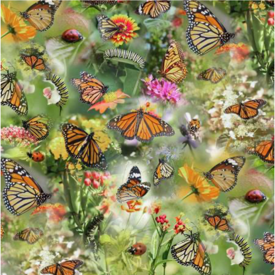 Mariposa Masterpiece - Meadow - W5461-170 Meadow