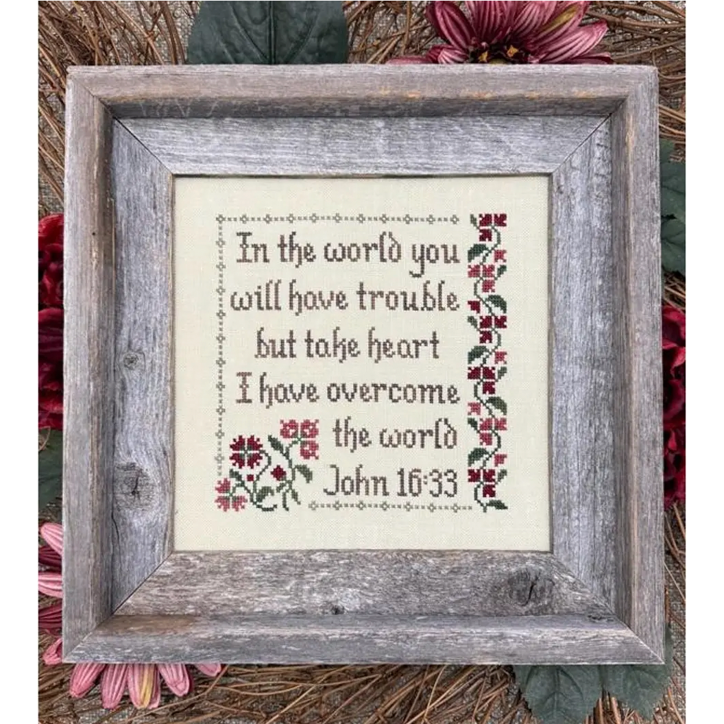 My Big Toe | I have Overcome the World