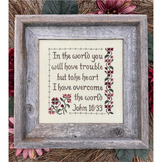 My Big Toe | I have Overcome the World