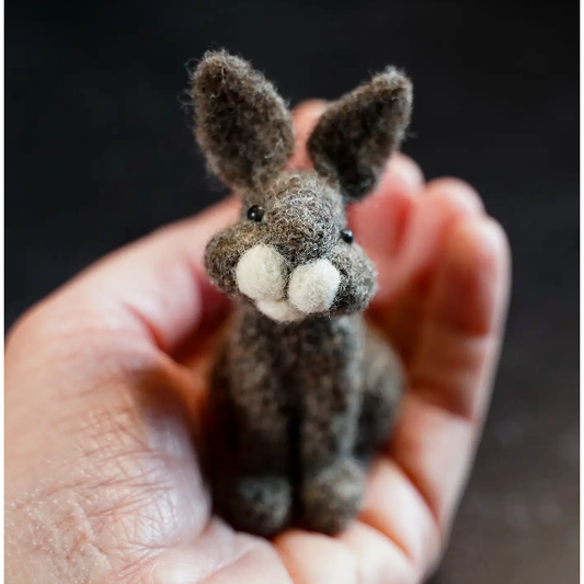 Bear Creek Felting | Bunny Needle Felting Kit