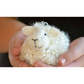 Bear Creek Felting | Sheep Needle Felting Kit