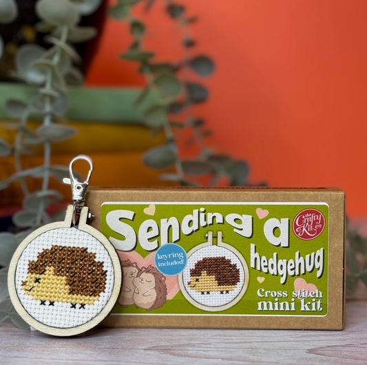 The Crafty Kit Company | Mini Matchbox Cross Stitch Kit ~ Sending you a Hedgehug