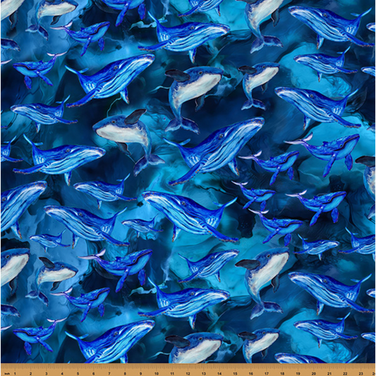 Whale Song ~ X5689-682-Deep Blue