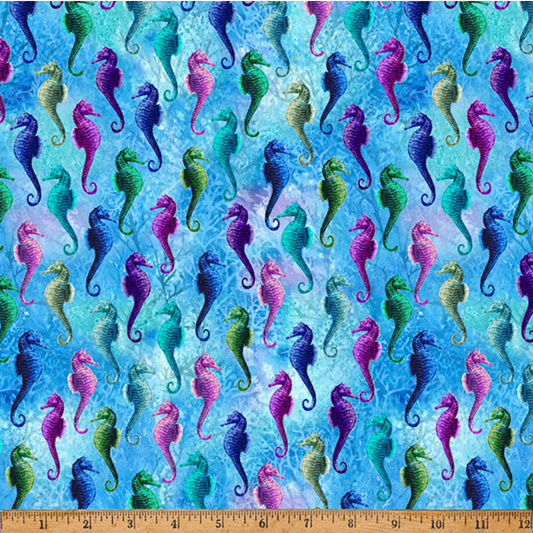Whale Song ~ X5690-692-Ocean Aquatic