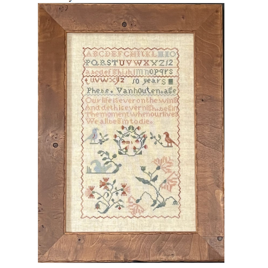 Queenstown Sampler Designs | Phebe Vanhouten 1827 MARKET 2026
