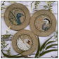Puntini Puntini |  Elegant Bird Trio MARKET 2026