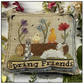 Puntini Puntini |  Spring Friends MARKET 2026