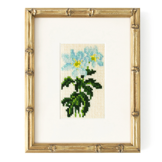 Elizabeth Bradley | Anemone Mini Kit