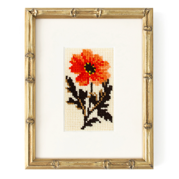 Elizabeth Bradley | Dahlia Starter Kit