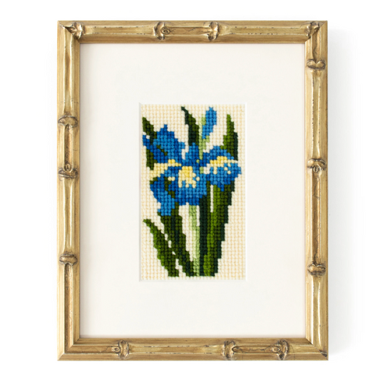 Elizabeth Bradley | Iris Starter Kit