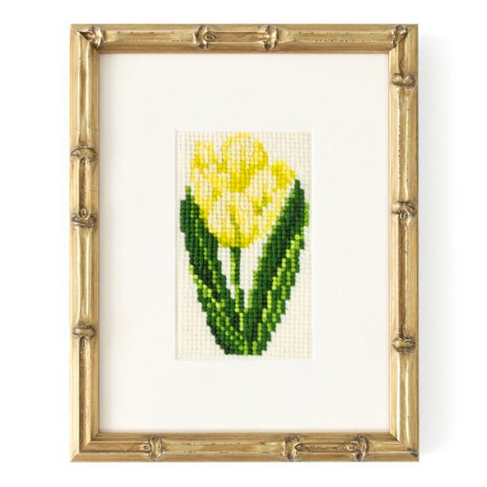 Elizabeth Bradley | Tulip Starter Kit