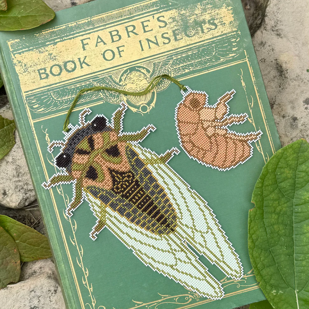 Boomerang Stitches | Cicada Season MARKET 2026