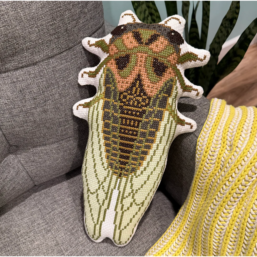 Boomerang Stitches | Cicada Season MARKET 2026