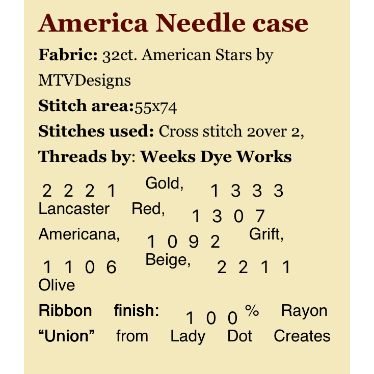 MTVDesigns  | America Needle Case MARKET 2026