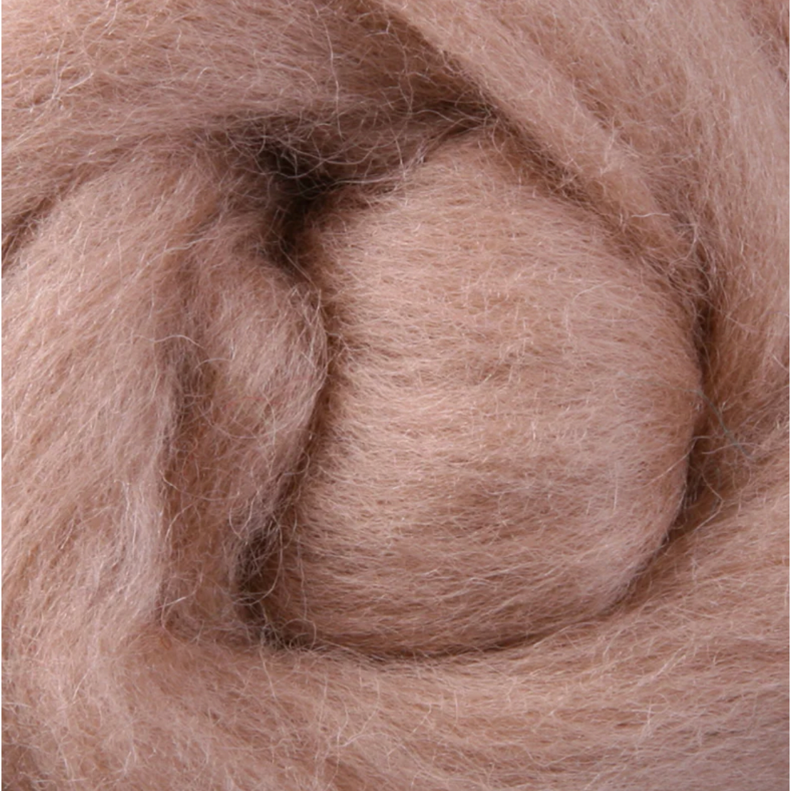 Wistyria Editions ~ Camel Wool Roving 14"
