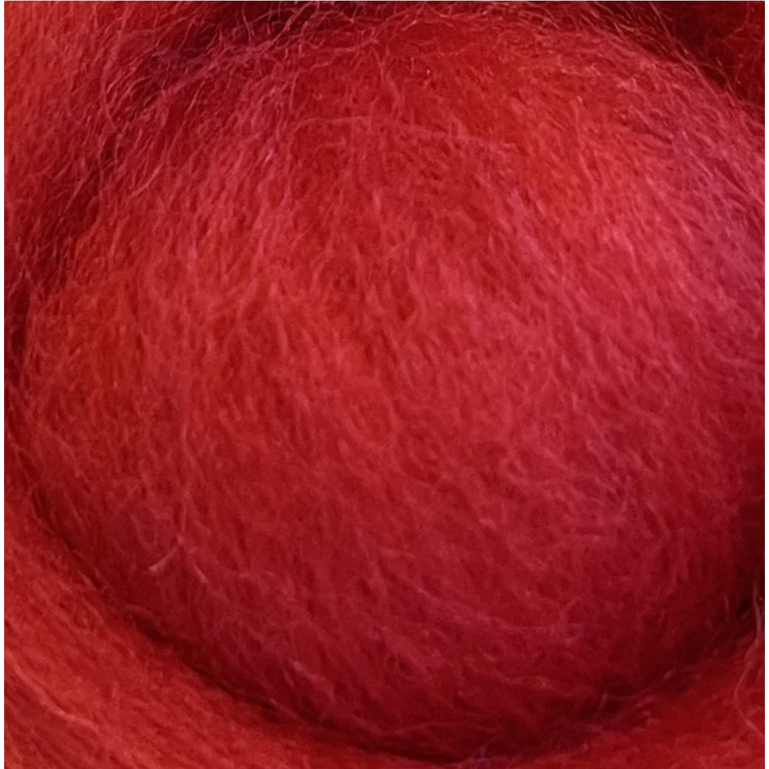 Wistyria Editions ~ Chili Pepper Wool Roving 14"