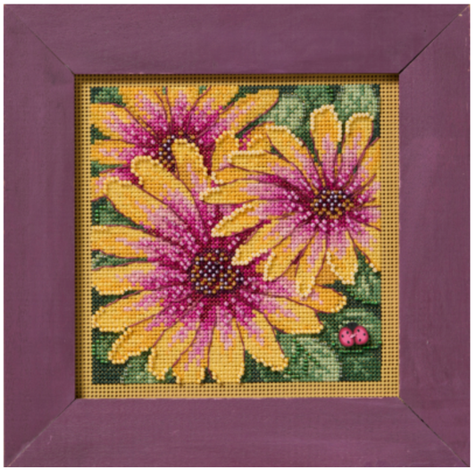 2025 Buttons & Beads Autumn Series | African Daisies