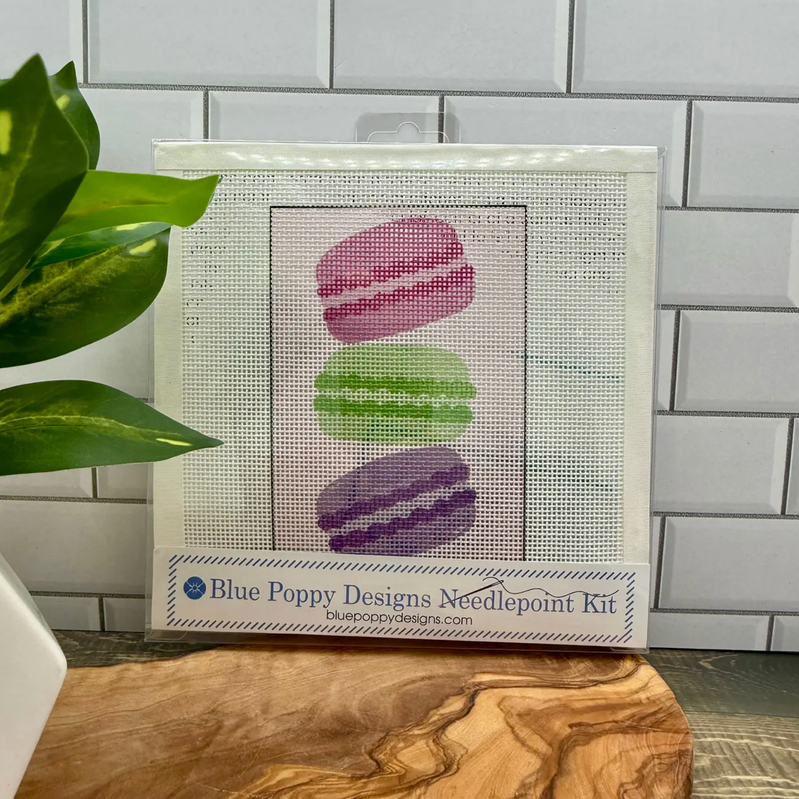 Blue Poppy Designs | Paris Macarons Needlepoint Kit
