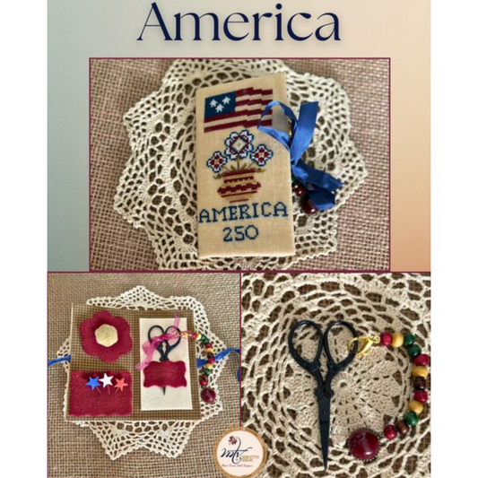 MTVDesigns  | America Needle Case