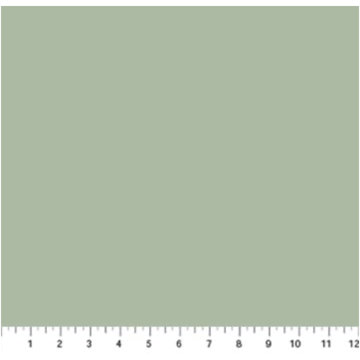 Colorworks Premium Solids ~ 9000-713 Frosted Pine