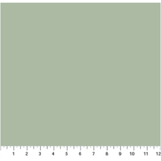 Colorworks Premium Solids ~ 9000-713 Frosted Pine