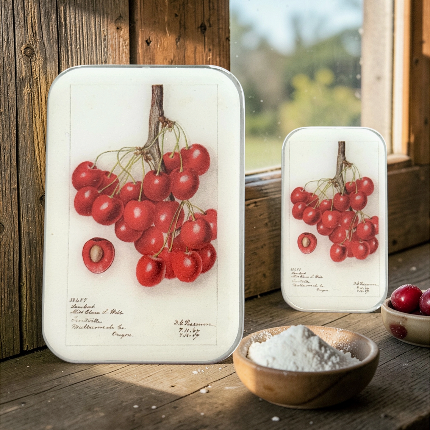 Tin Container Small  | Botanical Cherry