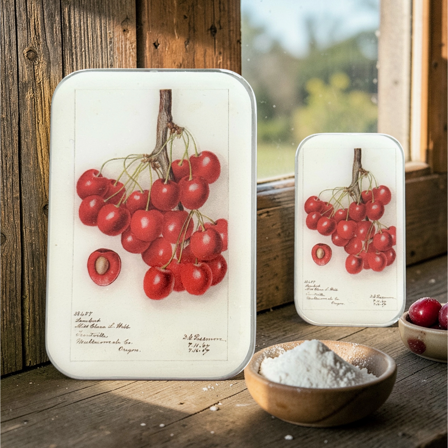 Tin Container with Magnet Large | Botanical Cherry