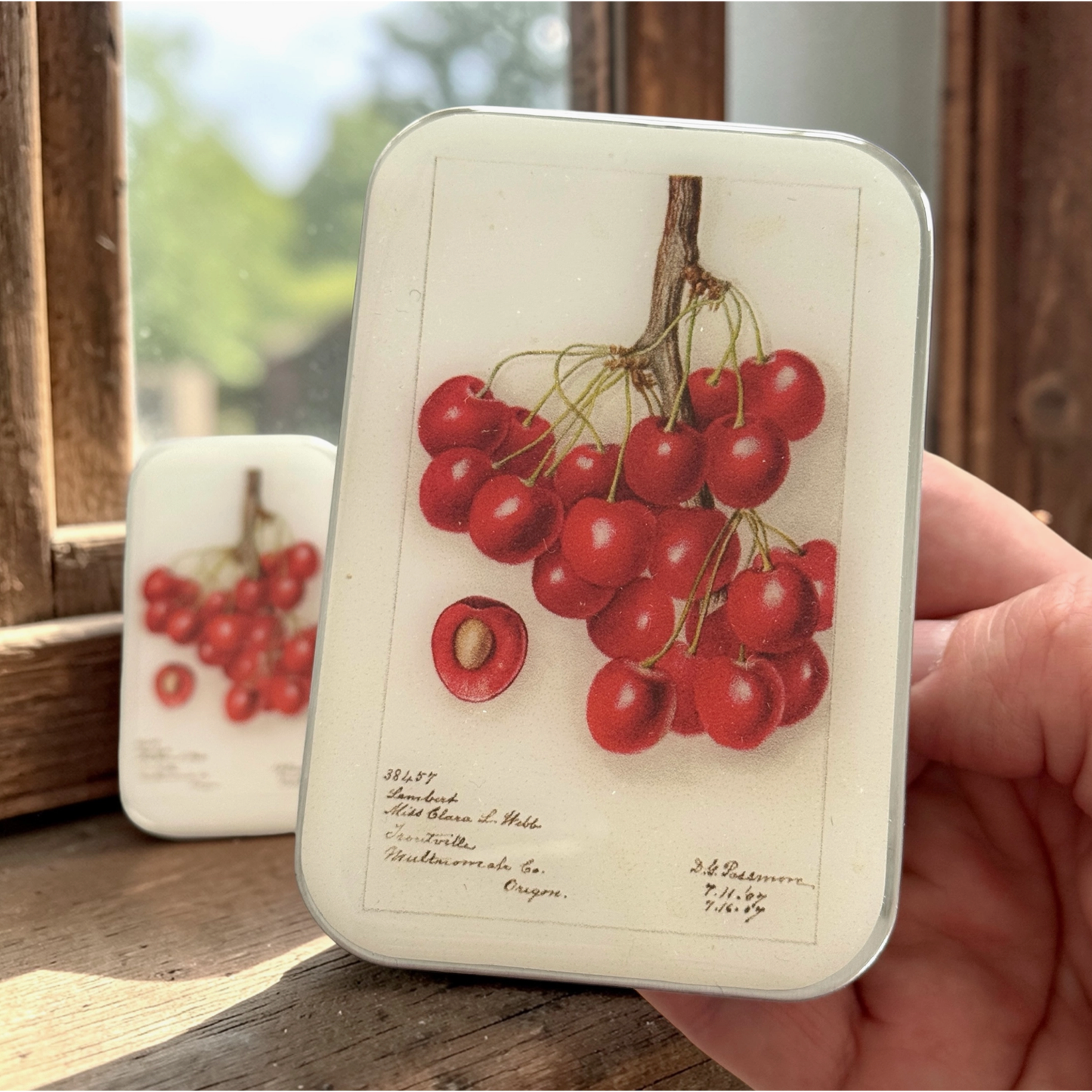 Tin Container with Magnet Large | Botanical Cherry