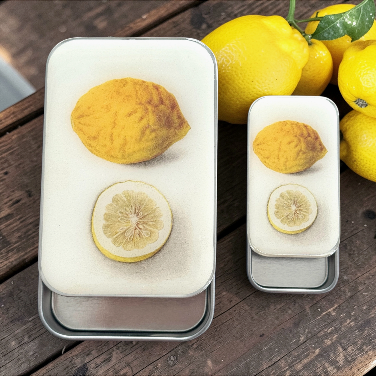 Tin Container with Magnet Large | Botanical Lemon