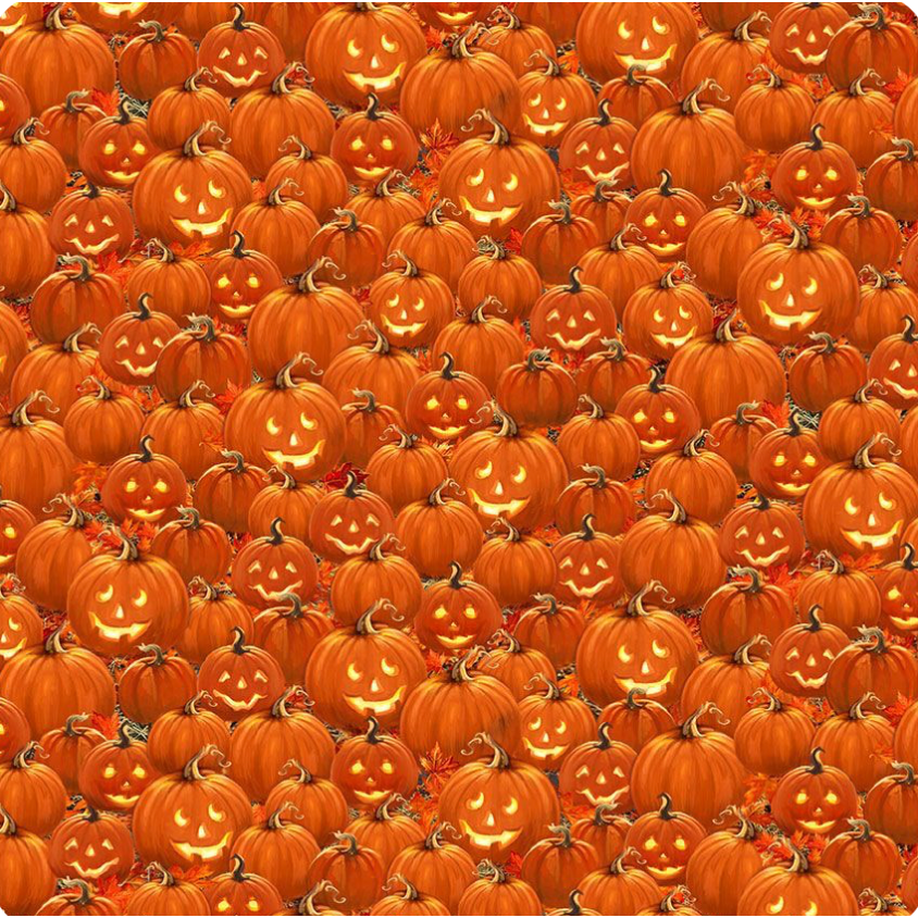 Fright Night ~ Packed Jack O'Lantern ~ DONA-CD4181  ORANGE