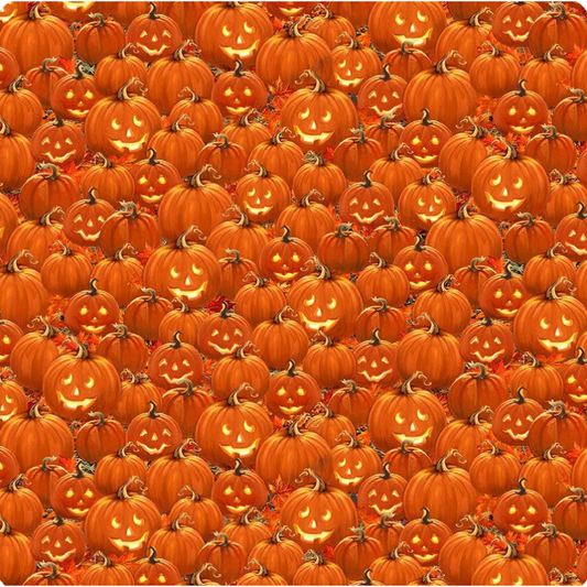 Fright Night ~ Packed Jack O'Lantern ~ DONA-CD4181  ORANGE