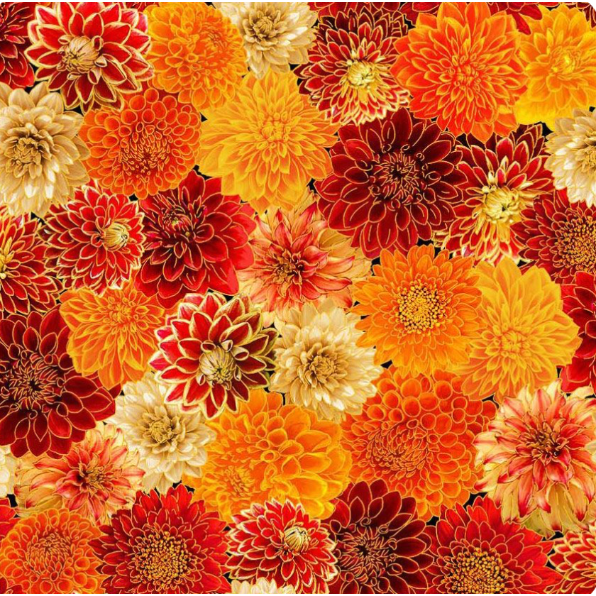 Give Thanks ~ Chrysanthemum Mix ~ HARVEST-CM4133  MUMS
