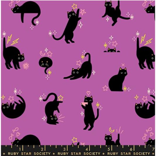 Freaky Familiars ~ Catwalk~ RS5193 13 Witchy