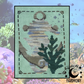 Barefoot Needleart | Reef Dancer NM2026