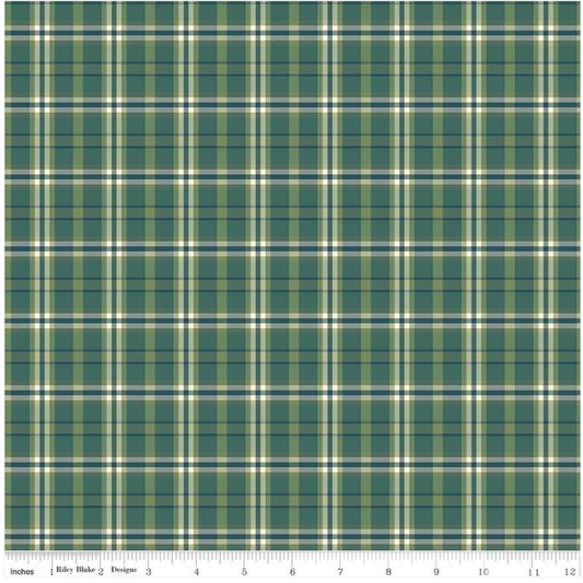 A Spoonful of Sugar ~ Plaid ~ CD17087-GRASS