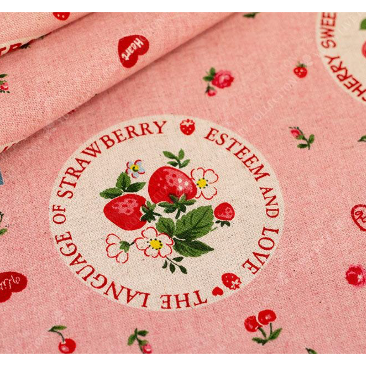 Atsuko Matsuyama ~ Fruit Flower Sticker Canvas ~ AT446909A